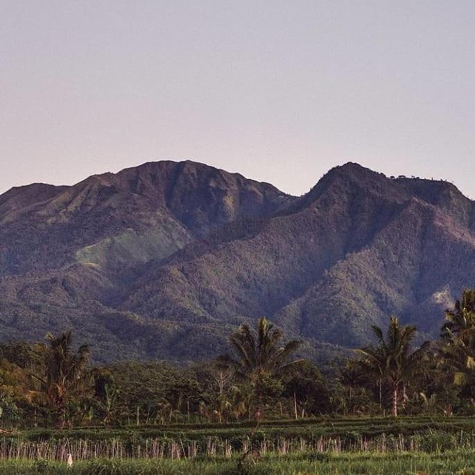 Tetebatu Mountain View Homestay Exteriör bild