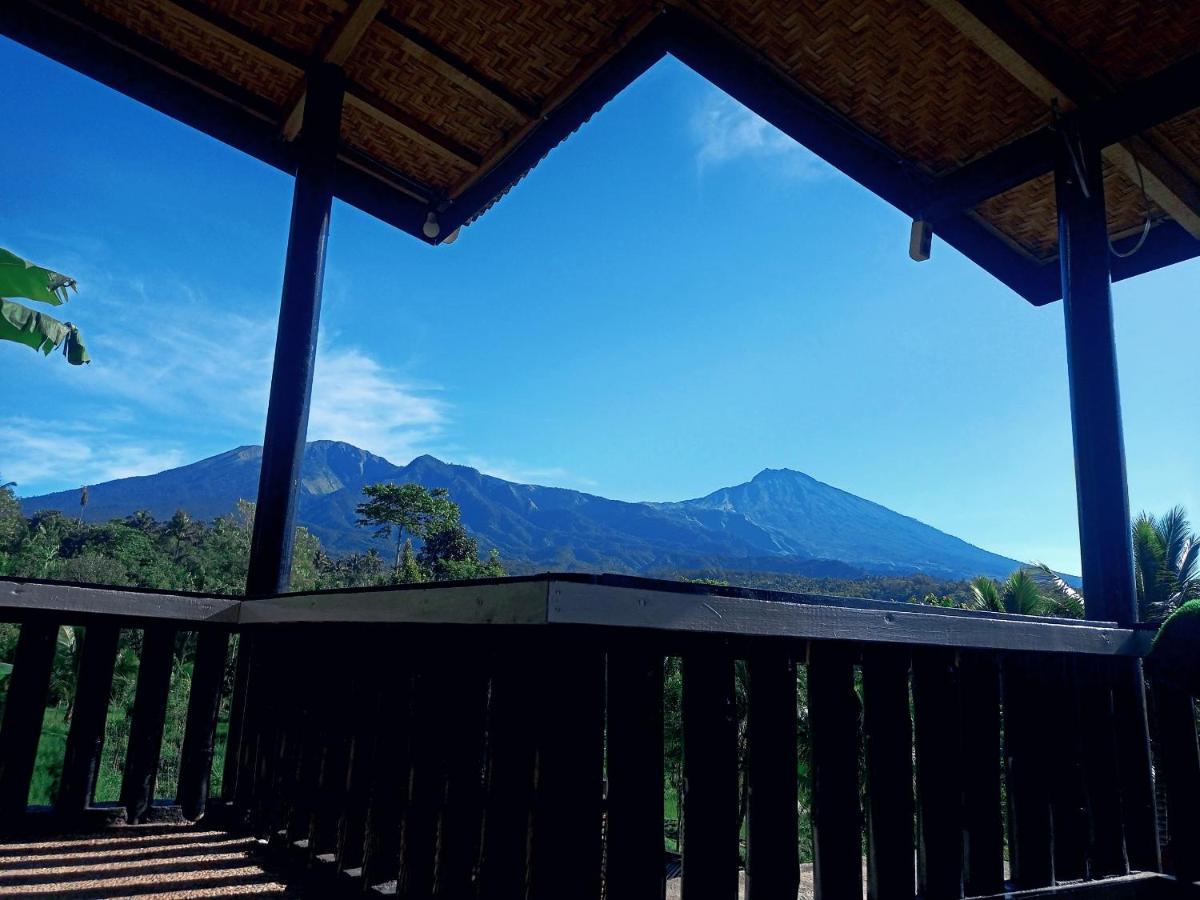 Tetebatu Mountain View Homestay Rum bild