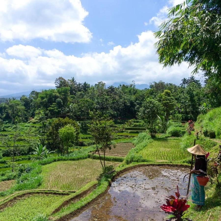 Tetebatu Mountain View Homestay Exteriör bild