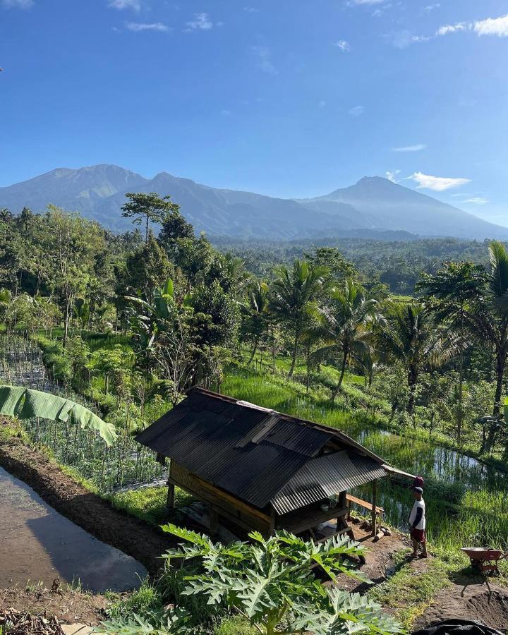 Tetebatu Mountain View Homestay Exteriör bild