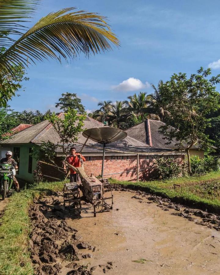 Tetebatu Mountain View Homestay Exteriör bild