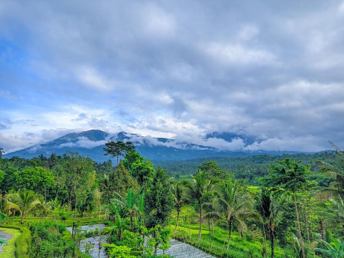 Tetebatu Mountain View Homestay Exteriör bild