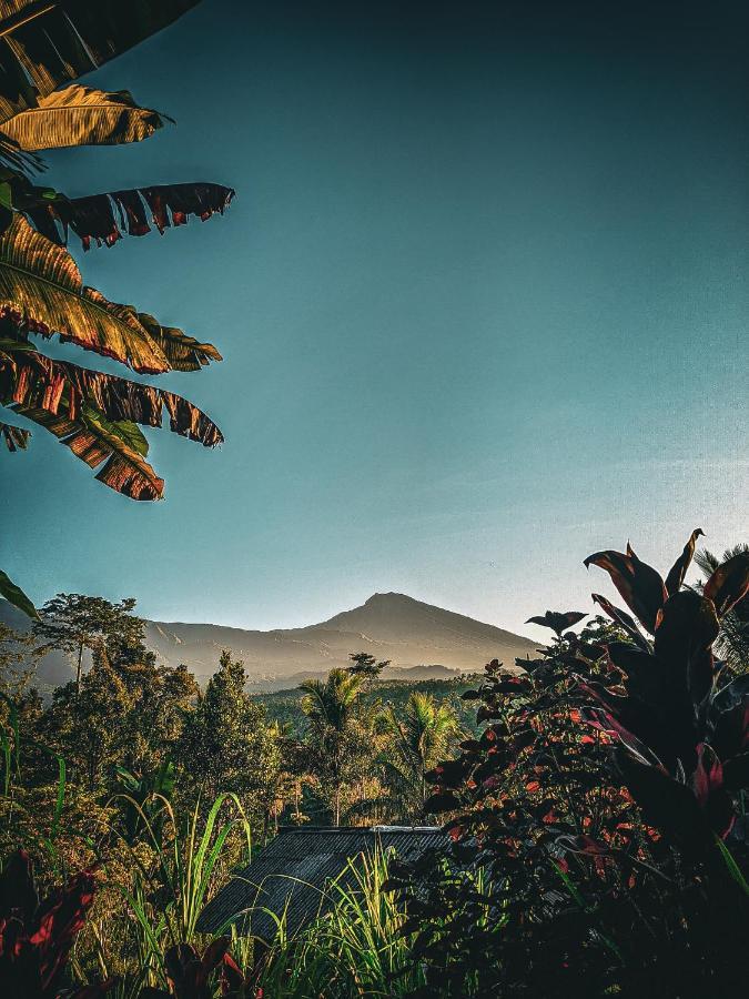 Tetebatu Mountain View Homestay Exteriör bild