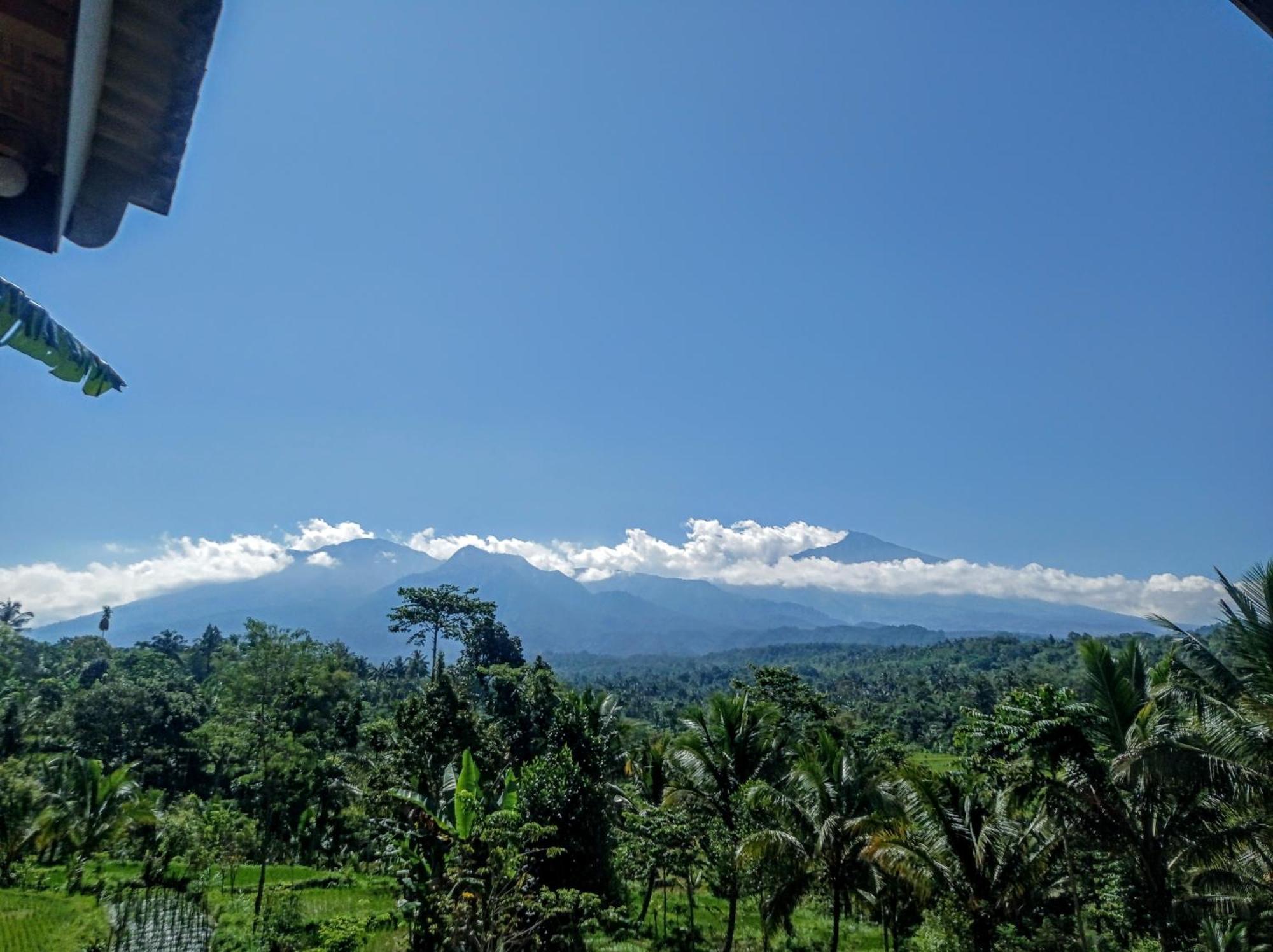 Tetebatu Mountain View Homestay Rum bild